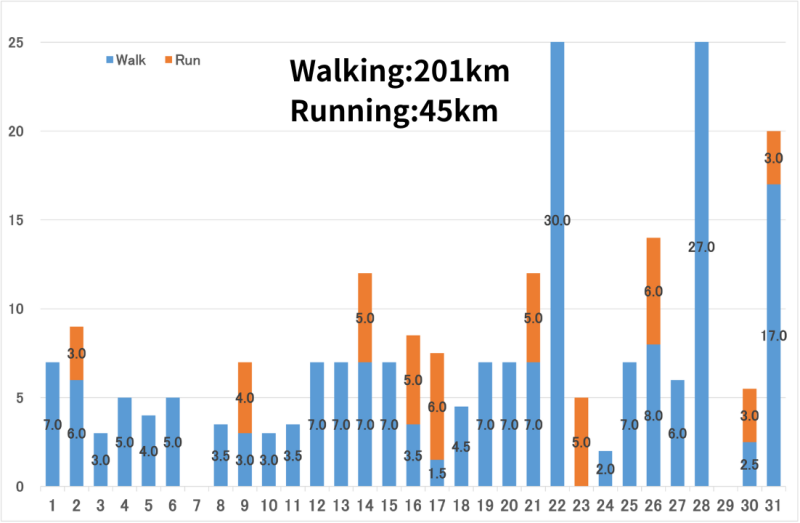2025年8月の距離のグラフ